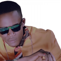 Nelson mb officiel - 243Stars