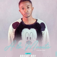 Bright boy - 243Stars