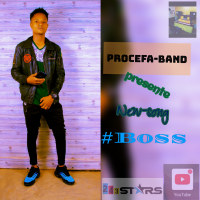 Procefa Bands