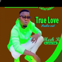 Meekboy the lyrical monster