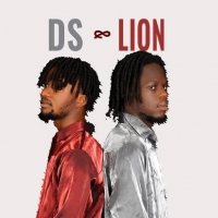 DS & LION