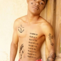 LilBricham seigneur - 243Stars