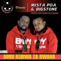 Ambri Kubwa za Bwana