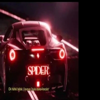 SPIDER Feat DYSTINCT 