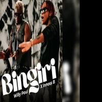 Bingiri Feat. Willy Paul