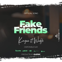 fake-friends