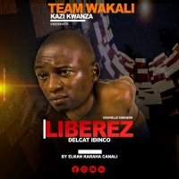 Libérez Delcat Idinco