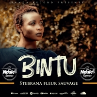 Bintu - Stebrana