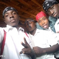 All Stars Dim de rire