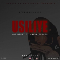 Usiliye
