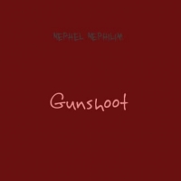gunshoot