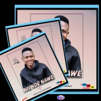 Niende nawe