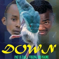 Pat-b ft Viking-J_Down