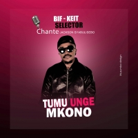 Tumu unge mkono