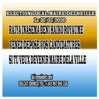 election-maire-de-la-ville