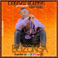 Bozonga