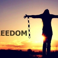 Freedom [243tune.Com]