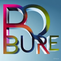 BURE OFFICIAL 1